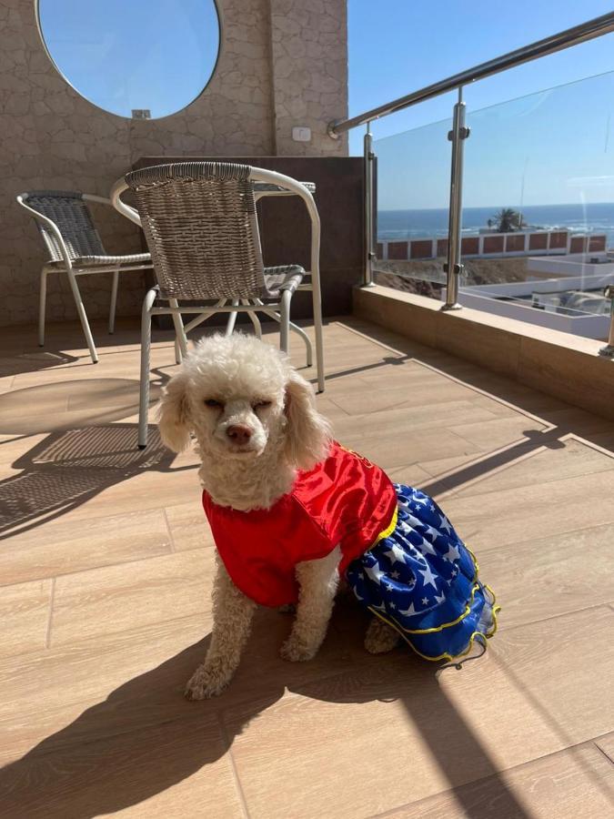 El Faro Hotel Chala Dış mekan fotoğraf